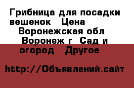 Грибница для посадки вешенок › Цена ­ 1 850 - Воронежская обл., Воронеж г. Сад и огород » Другое   